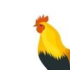 achicken_wing